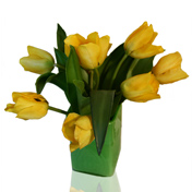 Yellow Tulips